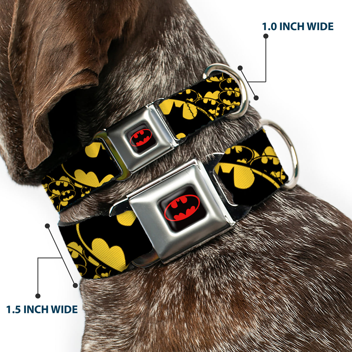 Batman Full Color Black Yellow Seatbelt Buckle Collar - Bat Signals Stacked w/CLOSE-UP Yellow/Black Dog Collars Seatbelt Buckle DC Comics
