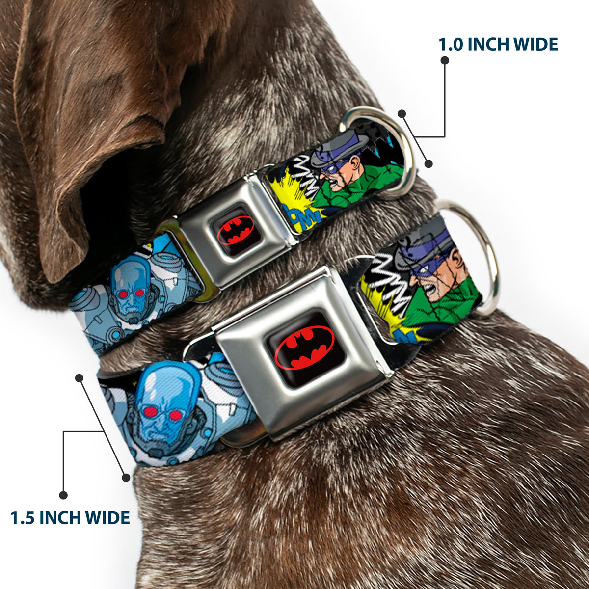 Batman Full Color Black Yellow Seatbelt Buckle Collar - Batman & Villains1 Dog Collars Seatbelt Buckle DC Comics
