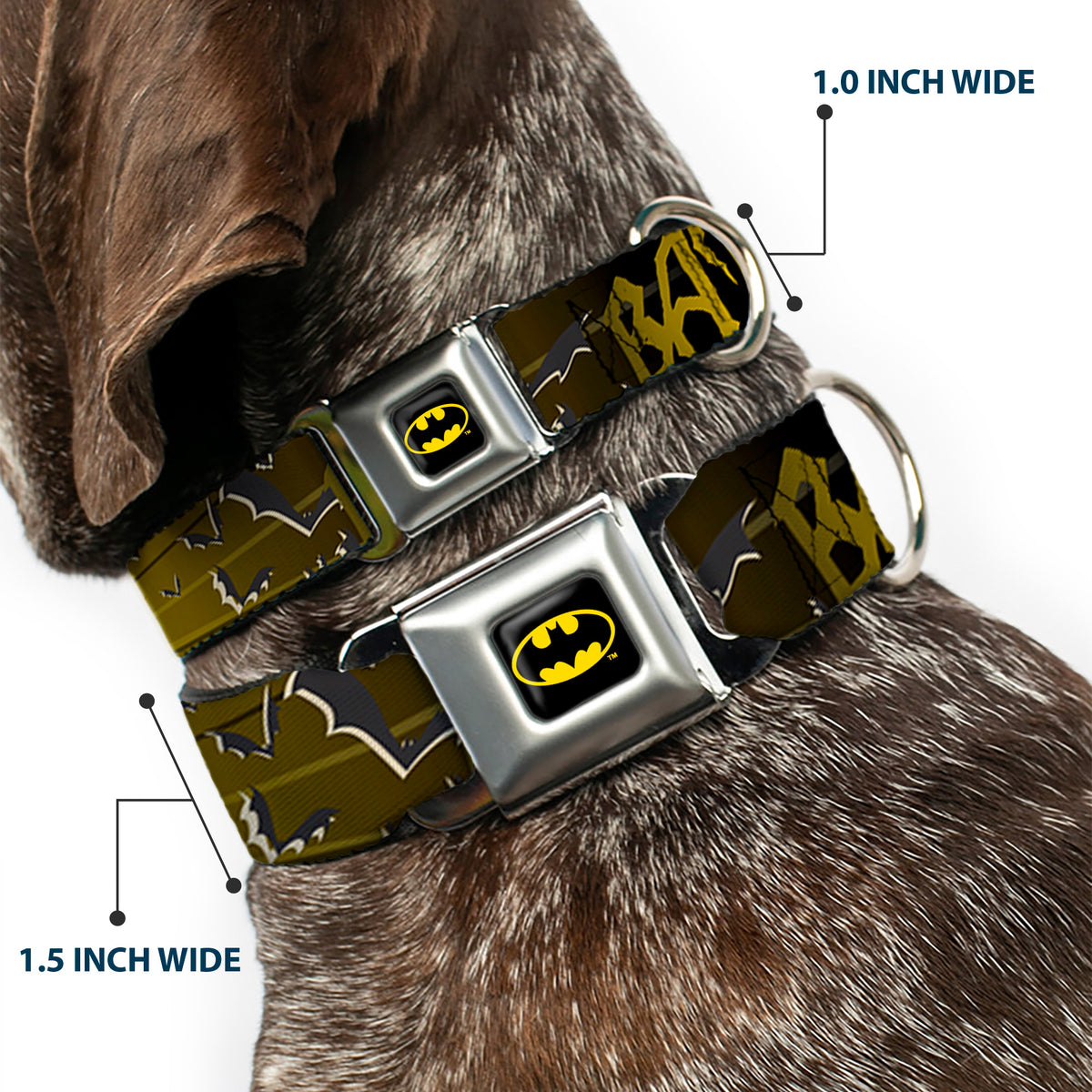 Batman Full Color Black Yellow Seatbelt Buckle Collar - BATMAN w/Bat Signals & Flying Bats Yellow/Black/White Dog Collars Seatbelt Buckle DC Comics
