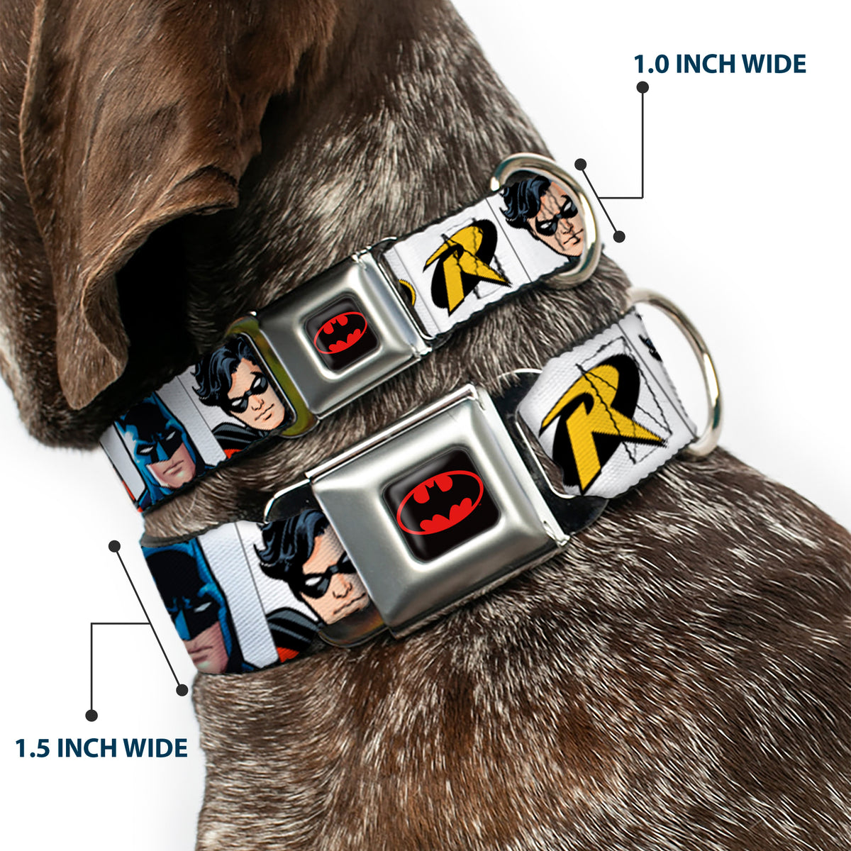 Batman Full Color Black Yellow Seatbelt Buckle Collar - Batman & Robin Blocks White Dog Collars Seatbelt Buckle DC Comics