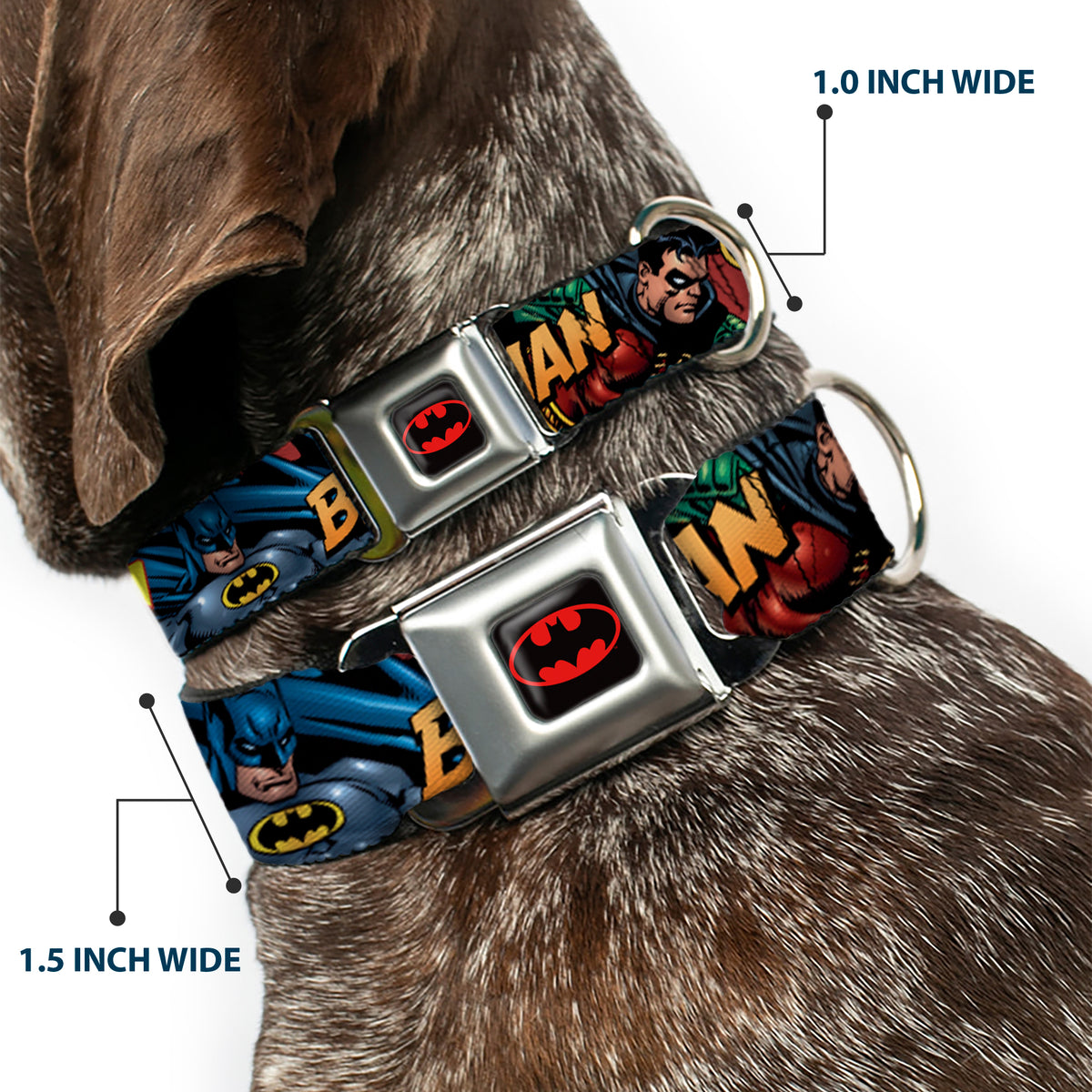 Batman Full Color Black Yellow Seatbelt Buckle Collar - Batman & Robin in Action w/Text Burgundy Dog Collars Seatbelt Buckle DC Comics