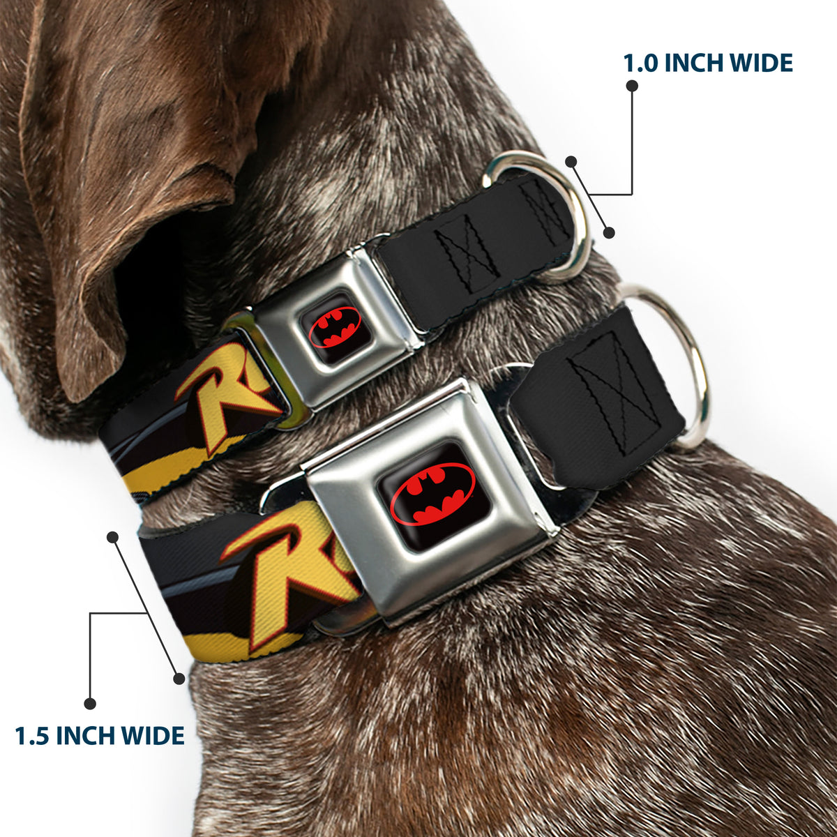 Batman Full Color Black Yellow Seatbelt Buckle Collar - ROBIN Red/Black Poses Gray Dog Collars Seatbelt Buckle DC Comics