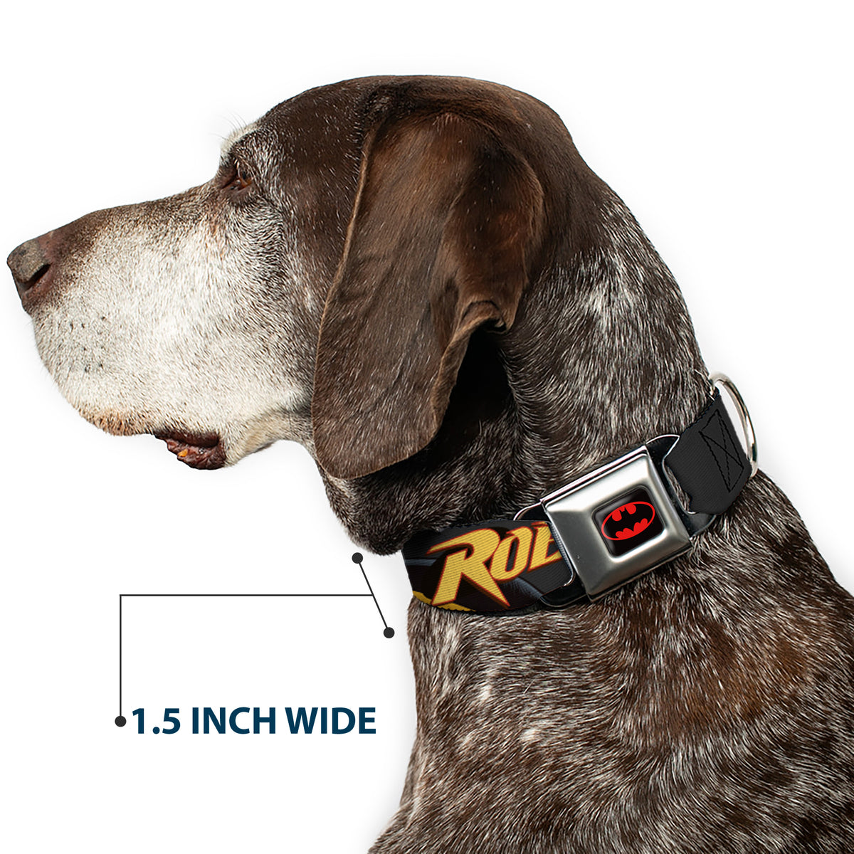 Batman Full Color Black Yellow Seatbelt Buckle Collar - ROBIN Red/Black Poses Gray Dog Collars Seatbelt Buckle DC Comics