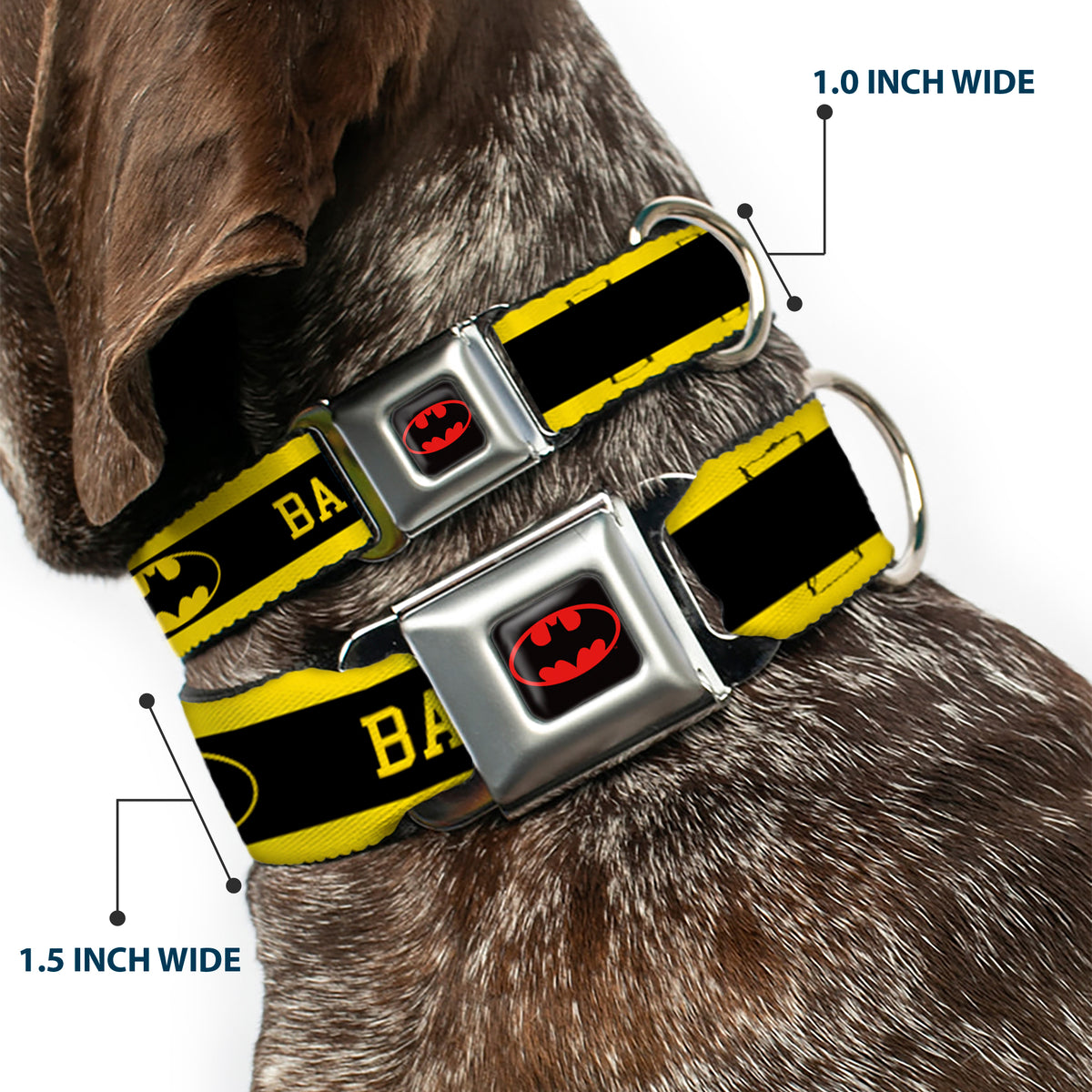 Batman Full Color Black Yellow Seatbelt Buckle Collar - BATMAN/Logo Stripe Yellow/Black Dog Collars Seatbelt Buckle DC Comics