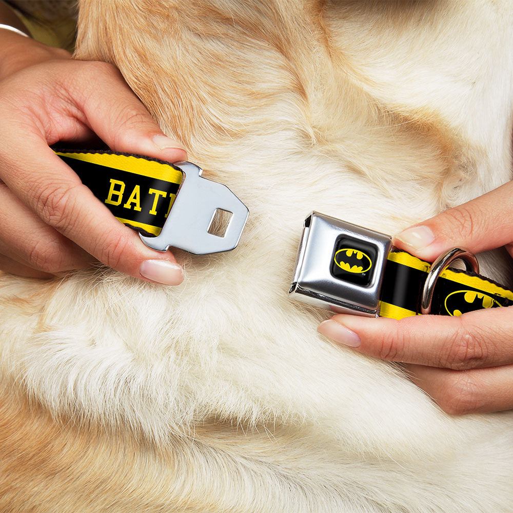 Batman Full Color Black Yellow Seatbelt Buckle Collar - BATMAN/Logo Stripe Yellow/Black Dog Collars Seatbelt Buckle DC Comics