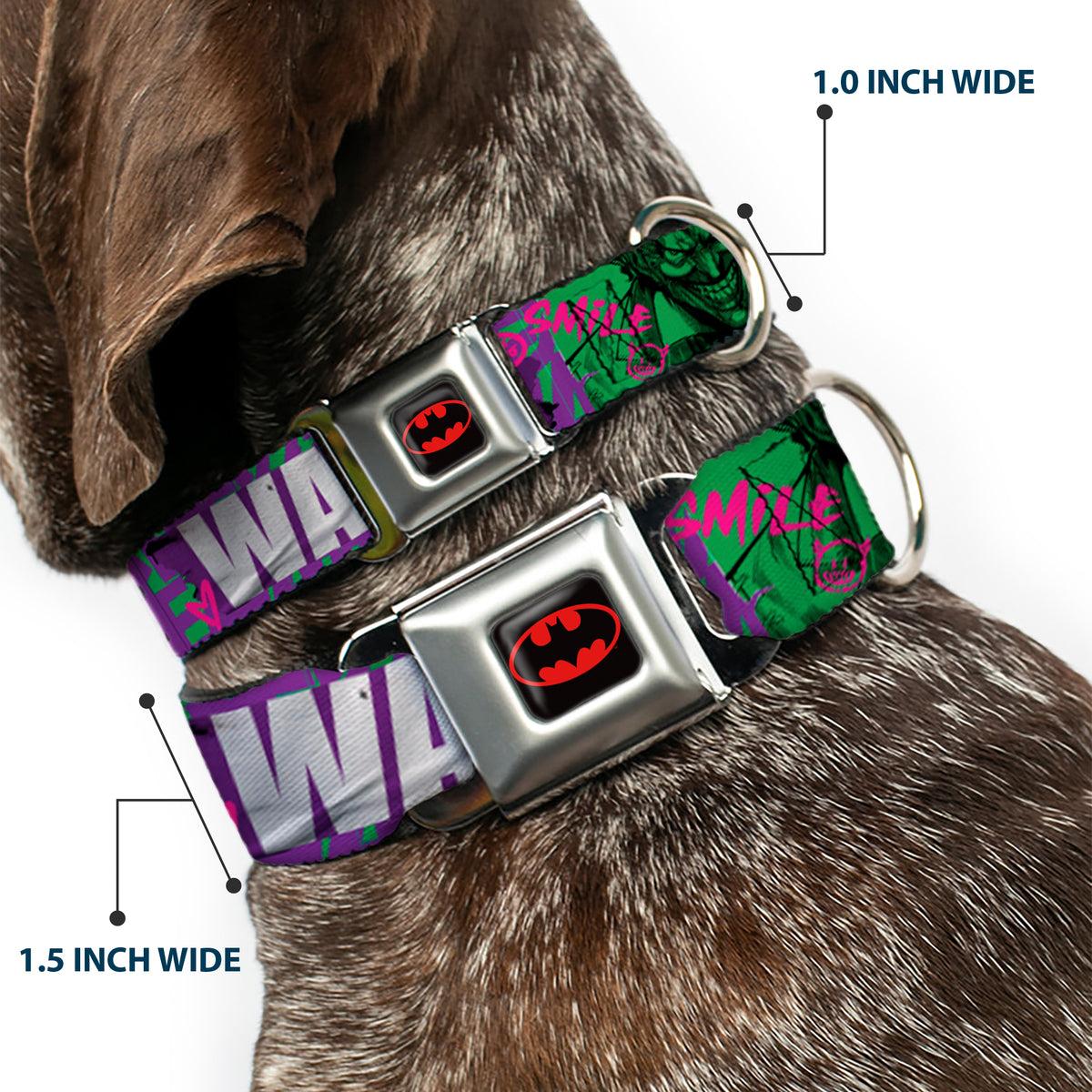 Batman Black/Yellow Seatbelt Buckle Collar - THE JOKER WANTED Smiling Pose and Graffiti Purples/Greens Dog Collars Seatbelt Buckle DC Comics