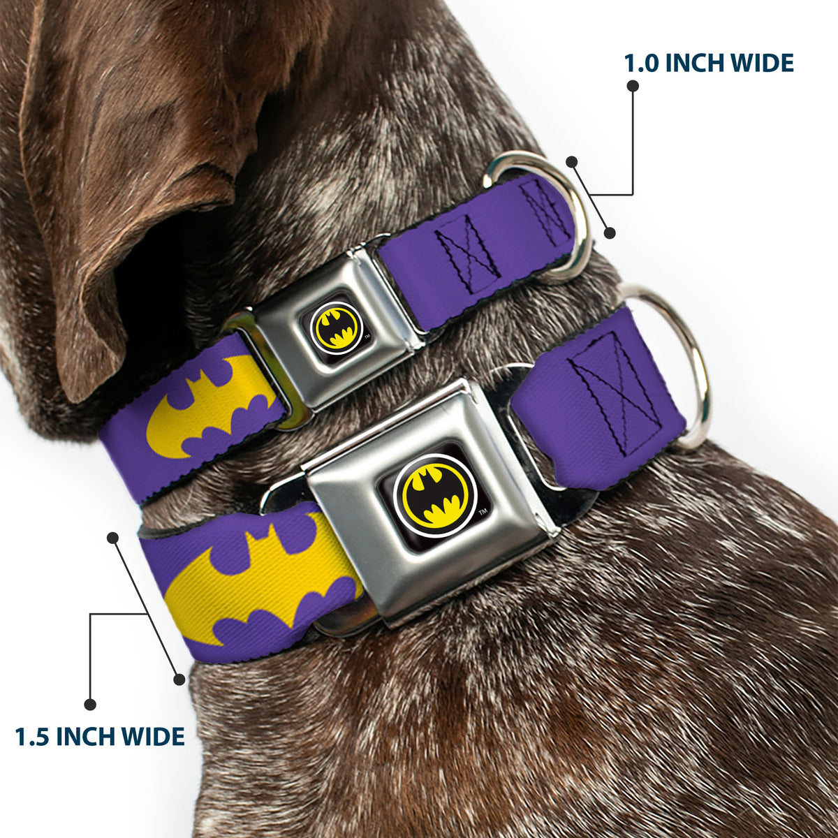 Batman Signal Full Color Purple Yellow Seatbelt Buckle Collar - Batman Signal Purple/Yellow Dog Collars Seatbelt Buckle DC Comics