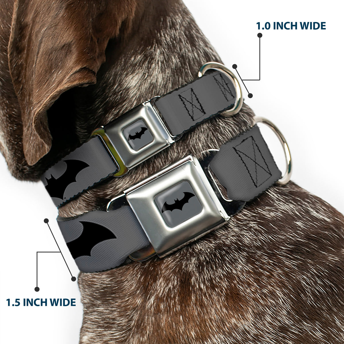 Retro Bat Logo Full Color Gray/Black Seatbelt Buckle Collar - Retro Bat Logo Gray/Black Dog Collars Seatbelt Buckle DC Comics