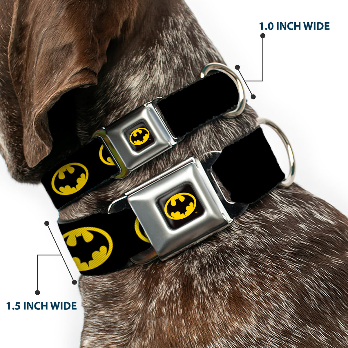 Batman 1989 Logo Full Color Black/Yellow Seatbelt Buckle Collar - Batman 1989 Logo Black/Yellow Dog Collars Seatbelt Buckle DC Comics