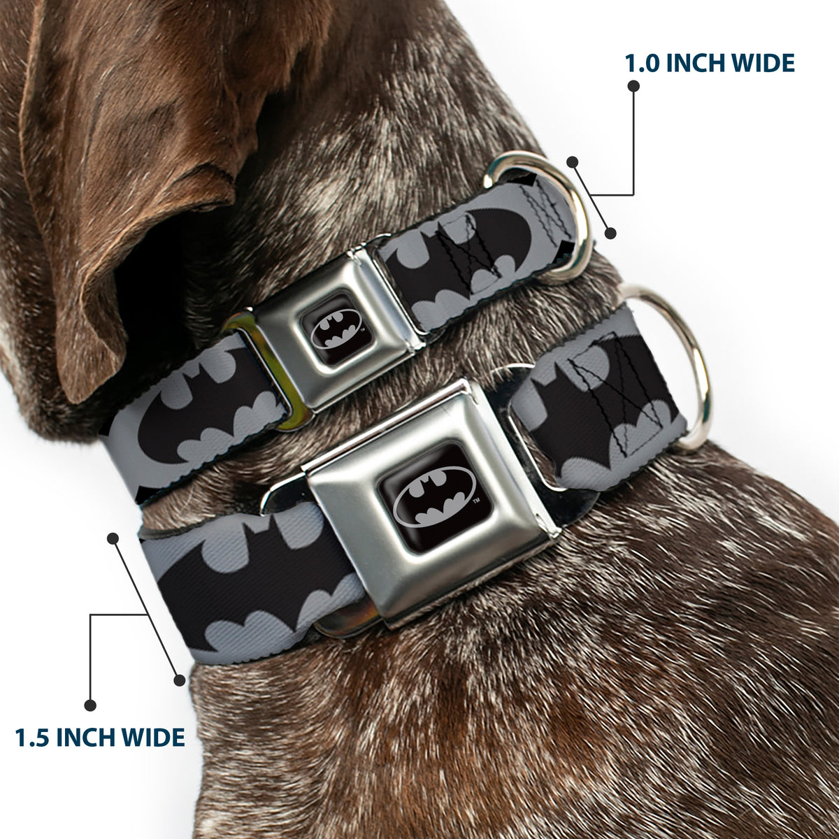 Batman Full Color Black Silver Black Seatbelt Buckle Collar - Bat Signal-5 Black/Gray/Black Dog Collars Seatbelt Buckle DC Comics