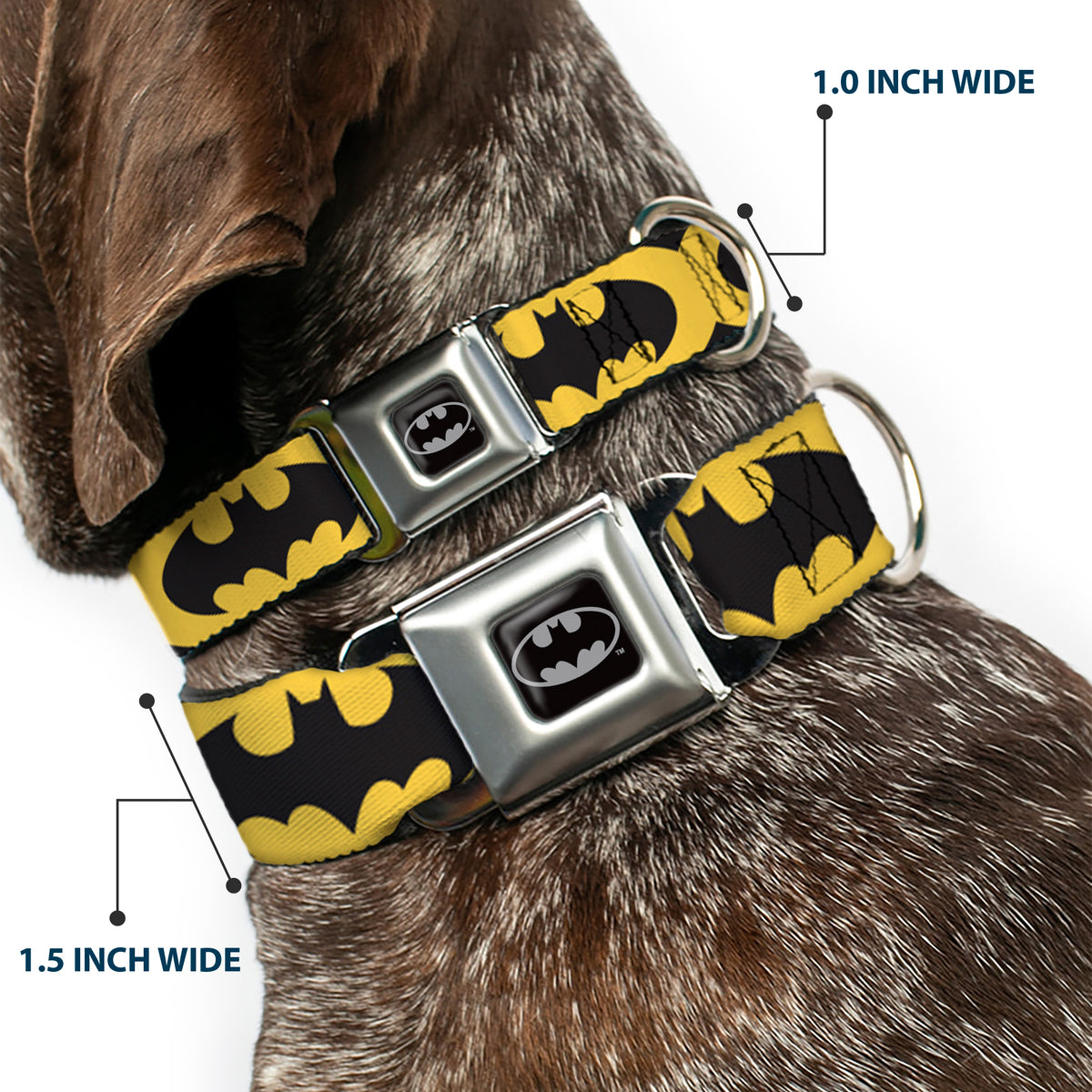 Batman Full Color Black Silver Black Seatbelt Buckle Collar - Bat Signal-5 Black/Yellow/Black Dog Collars Seatbelt Buckle DC Comics