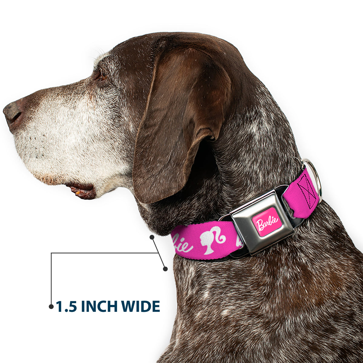 BARBIE Script Signature Full Color Hot Pink/White Seatbelt Buckle Collar - BARBIE Script Signature Logo and Silhouette Hot Pink/White Dog Collars Seatbelt Buckle Barbie