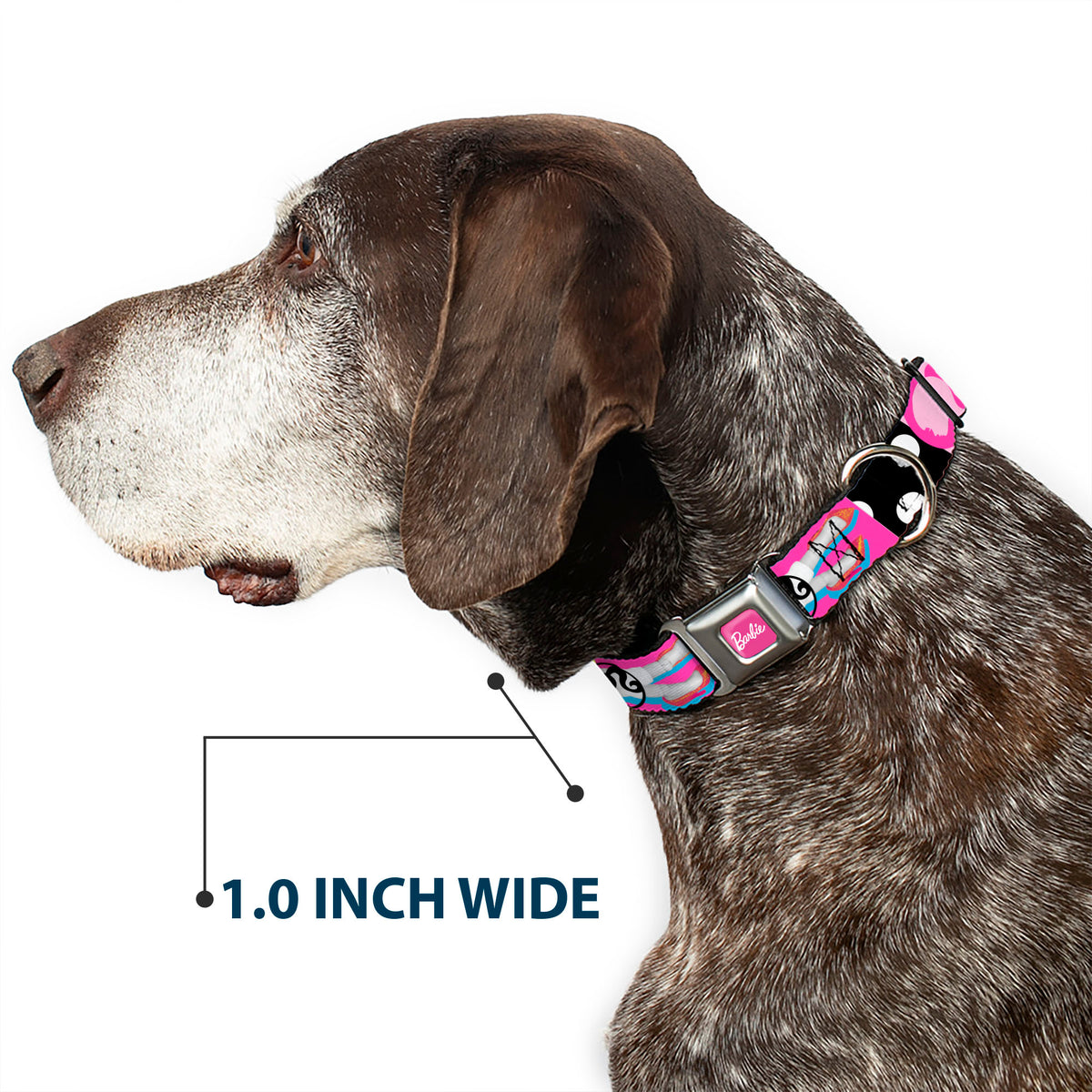 BARBIE Script Signature Full Color Hot Pink/White Seatbelt Buckle Collar - BARBIE Accessory Icons Collage Multi Color Dog Collars Seatbelt Buckle Barbie