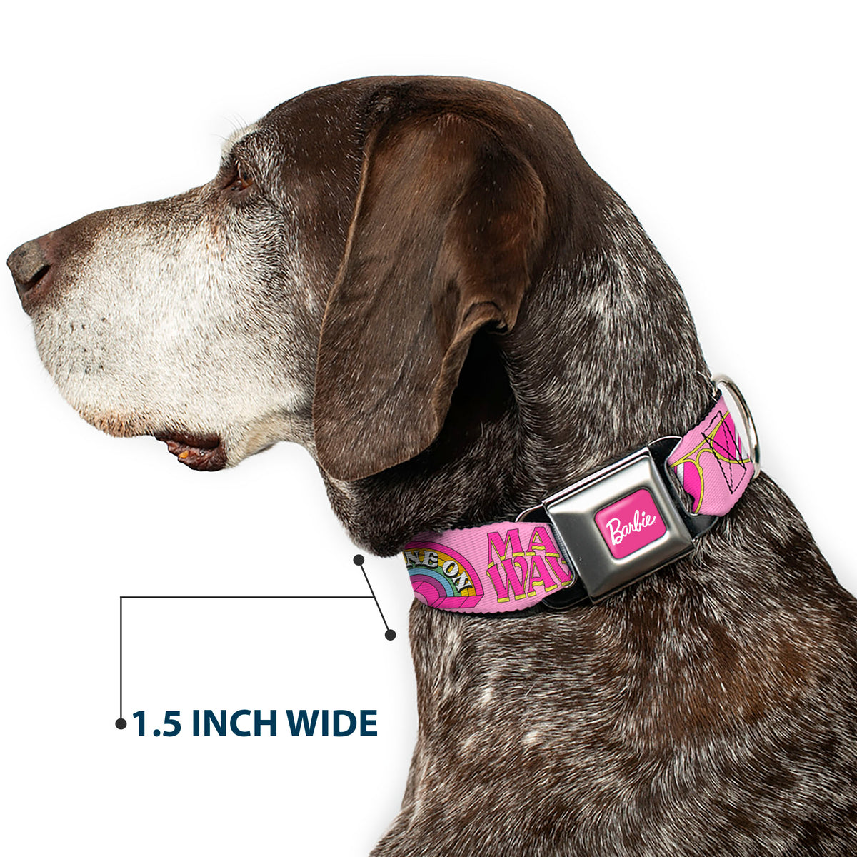 BARBIE Script Signature Full Color Hot Pink/White Seatbelt Buckle Collar - Malibu Barbie 1971 Icons and Quotes Pinks/Yellows Dog Collars Seatbelt Buckle Barbie