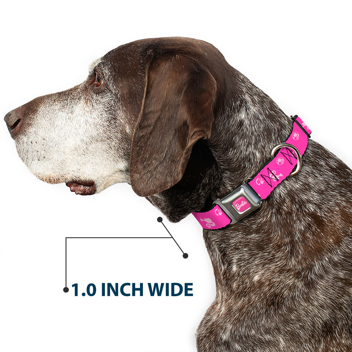 BARBIE Script Signature Full Color Hot Pink/White Seatbelt Buckle Collar - Barbie Ponytail Silhouette Icon Scattered Pinks Dog Collars Seatbelt Buckle Barbie