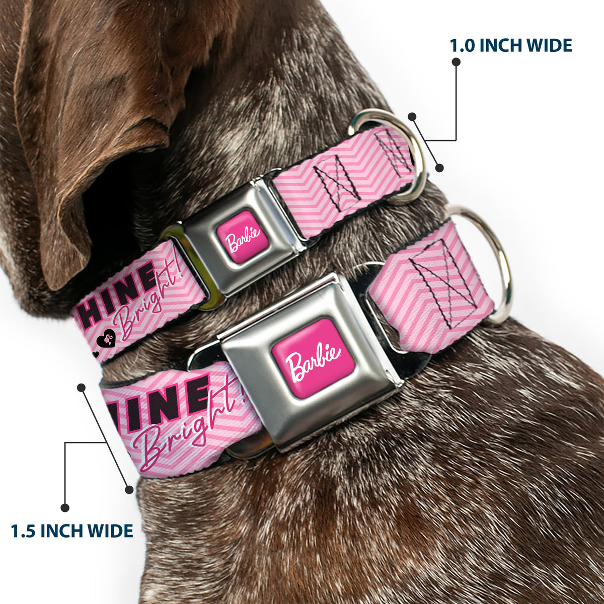 BARBIE Script Signature Full Color Hot Pink/White Seatbelt Buckle Collar - BARBIE LOVE SHINE BRIGHT Chevron Striping Pinks Dog Collars Seatbelt Buckle Barbie