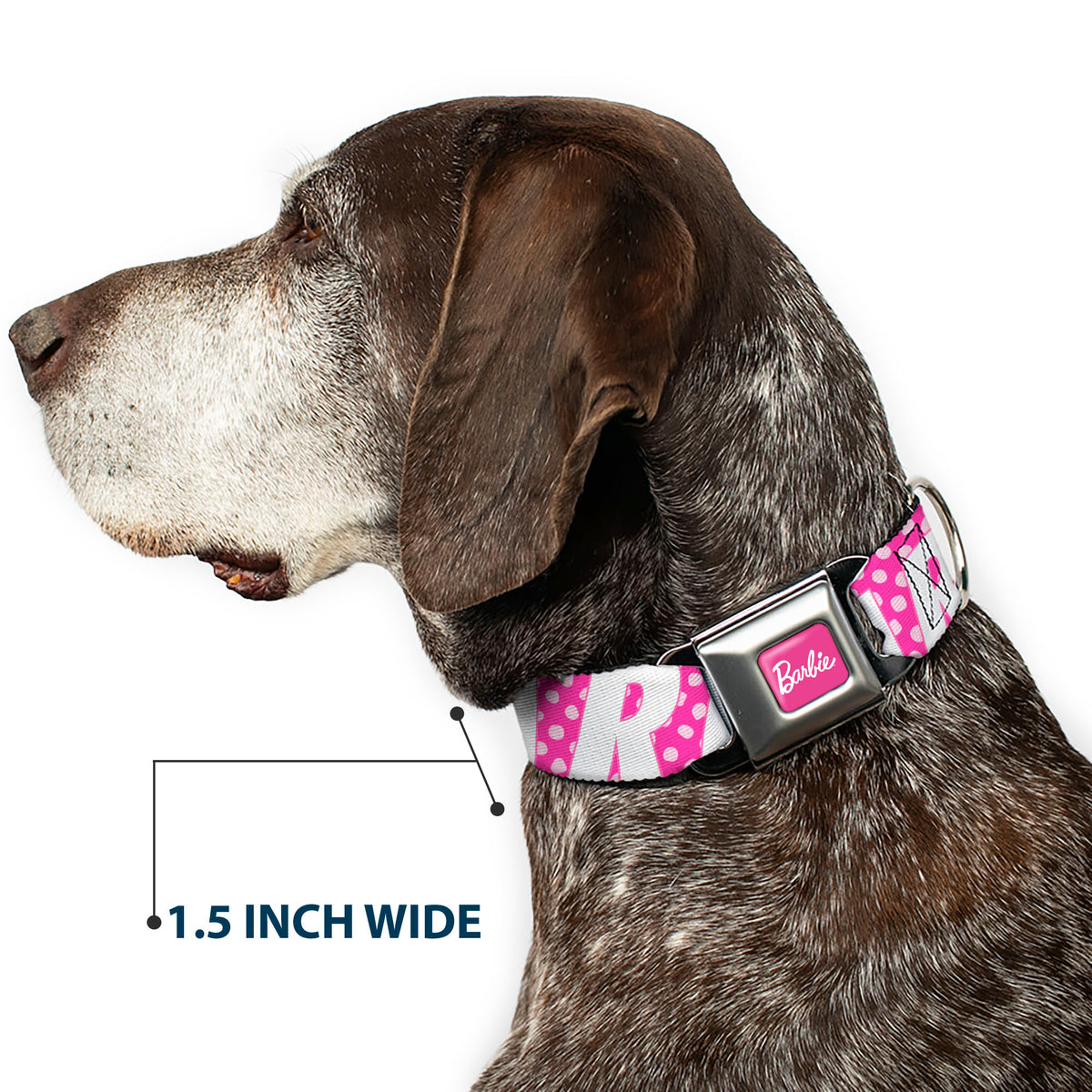 BARBIE Script Signature Full Color Hot Pink/White Seatbelt Buckle Collar - BARBIE Text and Polka Dots Pinks/White Dog Collars Seatbelt Buckle Barbie
