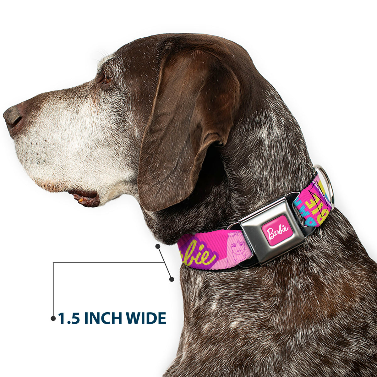 BARBIE Script Signature Full Color Hot Pink/White Seatbelt Buckle Collar - Barbie Text and Dolls Collage Pinks/Multi Color Dog Collars Seatbelt Buckle Barbie