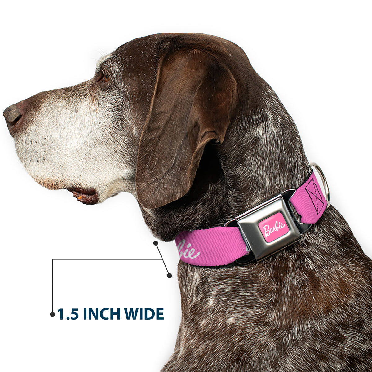 BARBIE Script Signature Full Color Pink/White Seatbelt Buckle Collar - BARBIE Script Signature Logo Pink/White Dog Collars Seatbelt Buckle Barbie