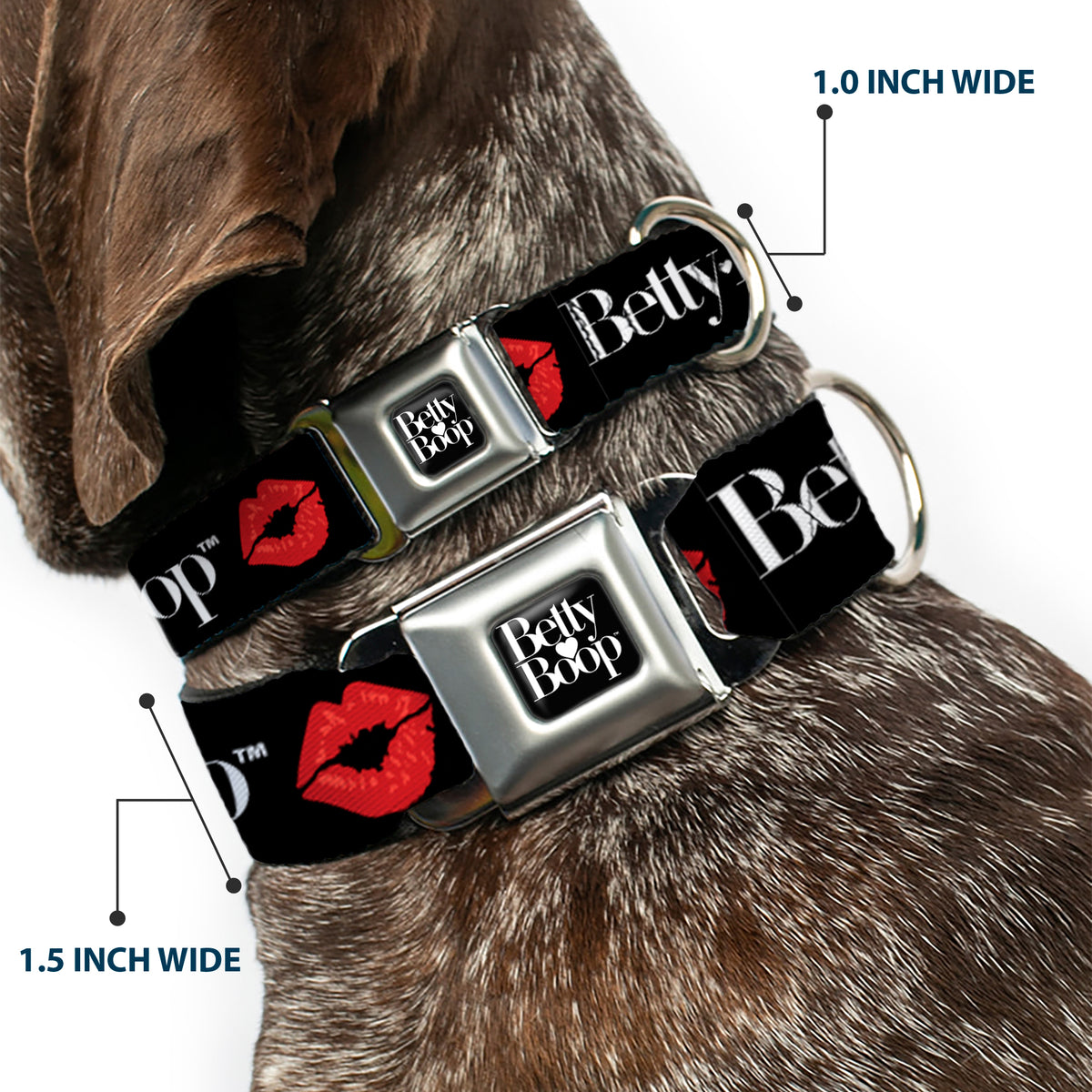 BETTY BOOP Text Heart Logo Full Color Black/White Seatbelt Buckle Collar - BETTY BOOP Text and Kiss Black/White/Red Dog Collars Seatbelt Buckle Betty Boop