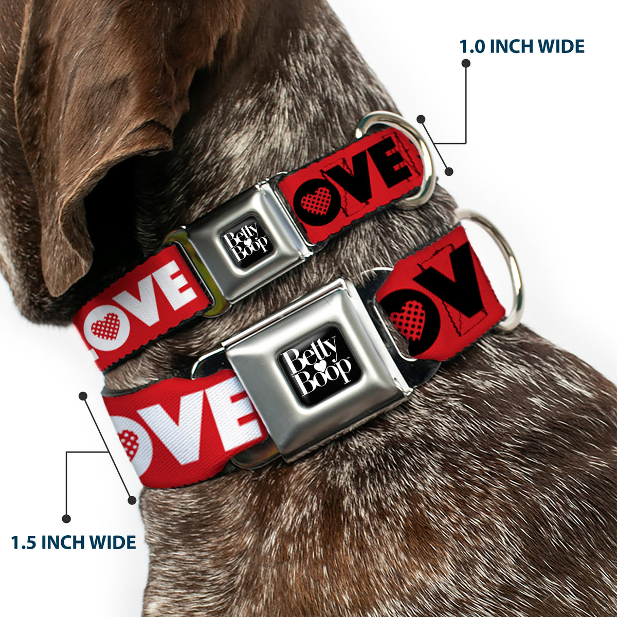 BETTY BOOP Text Heart Logo Full Color Black/White Seatbelt Buckle Collar - Betty Boop Face and LOVE Text Red/Black/White Dog Collars Seatbelt Buckle Betty Boop
