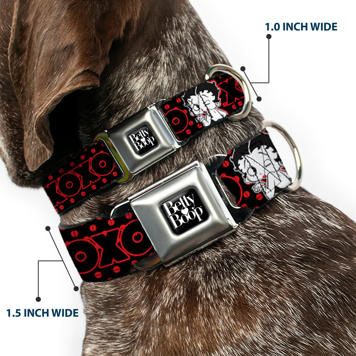 BETTY BOOP Text Heart Logo Full Color Black/White Seatbelt Buckle Collar - Betty Boop Winking Kiss Pose with XOXO Text Polka Dot Black/Red/White Dog Collars Seatbelt Buckle Betty Boop