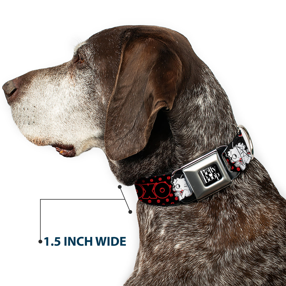 BETTY BOOP Text Heart Logo Full Color Black/White Seatbelt Buckle Collar - Betty Boop Winking Kiss Pose with XOXO Text Polka Dot Black/Red/White Dog Collars Seatbelt Buckle Betty Boop