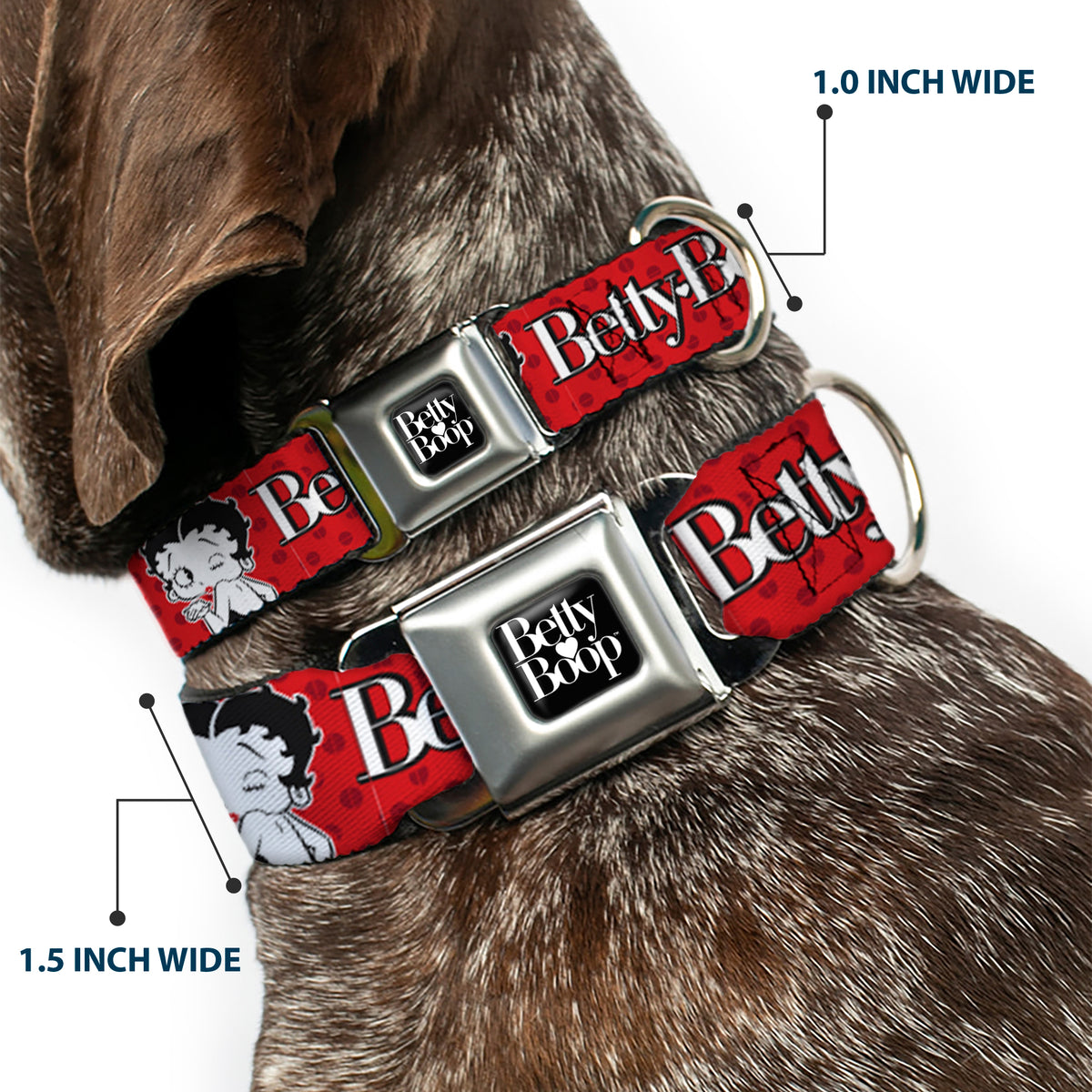 BETTY BOOP Text Heart Logo Full Color Black/White Seatbelt Buckle Collar - BETTY BOOP Winking Kiss Pose and Text Reds/Black/White Dog Collars Seatbelt Buckle Betty Boop