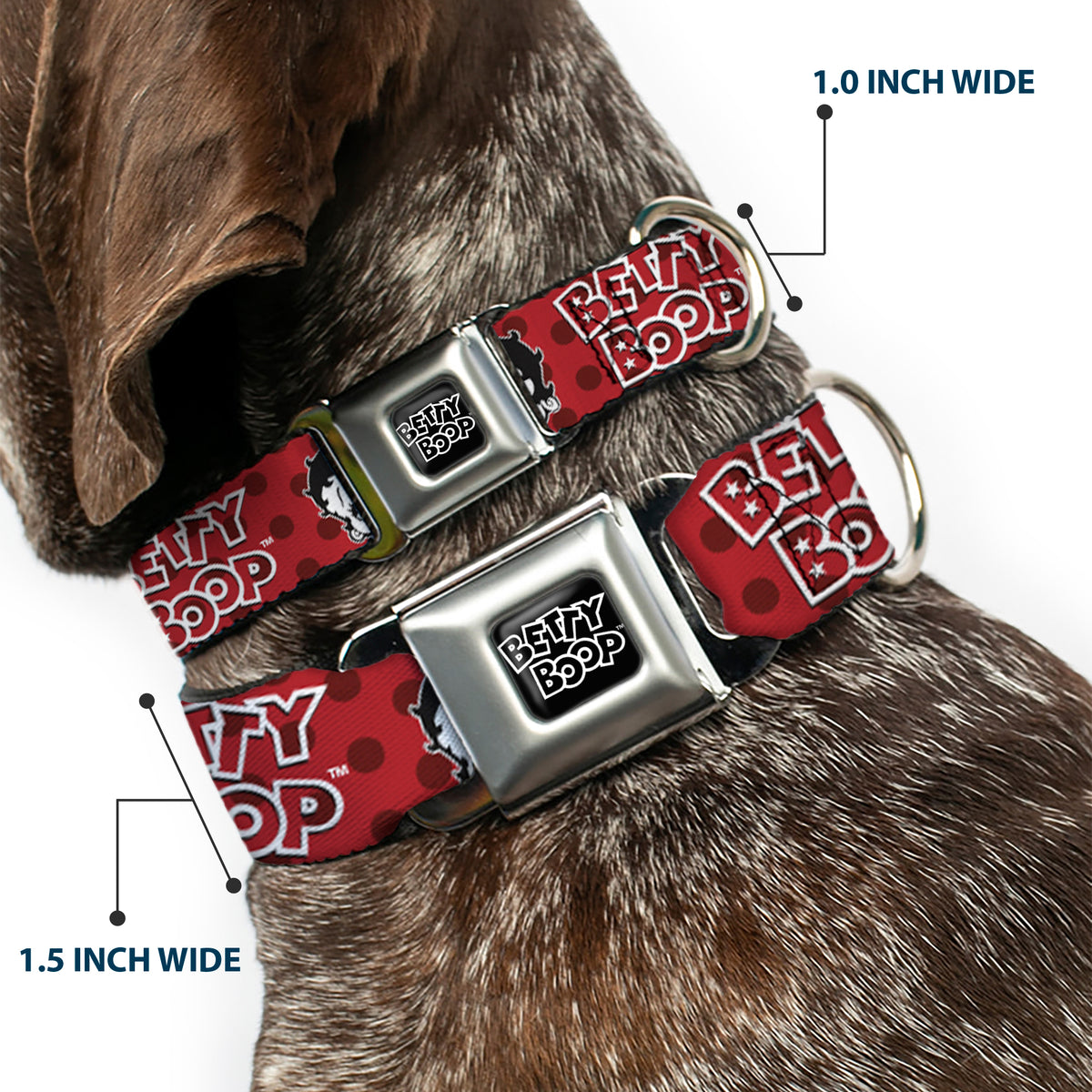 BETTY BOOP Text Heart Logo Full Color Black/White Seatbelt Buckle Collar - BETTY BOOP Face and Text Polka Dot Reds/Black/White Dog Collars Seatbelt Buckle Betty Boop