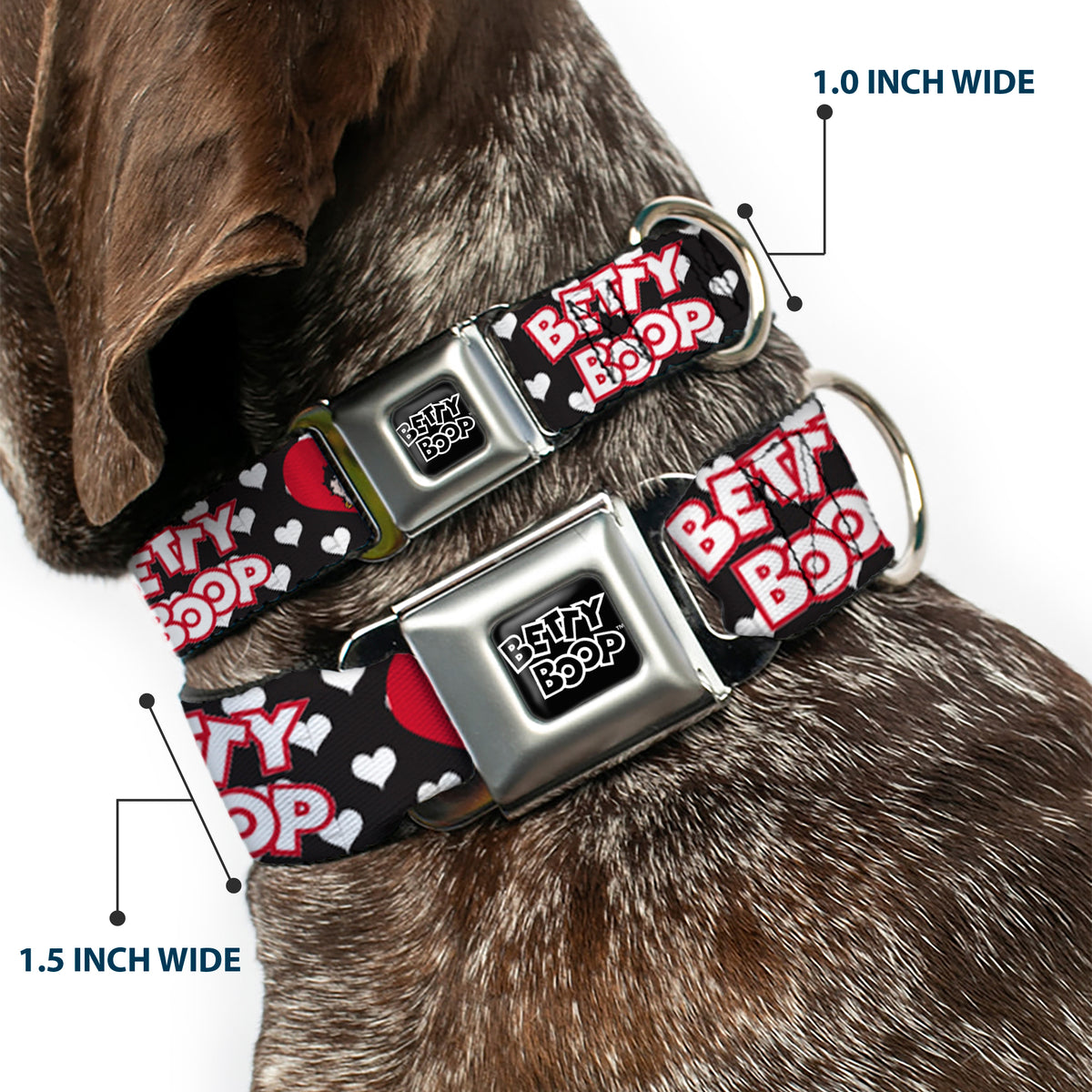 BETTY BOOP Text Heart Logo Full Color Black/White Seatbelt Buckle Collar - BETTY BOOP Face and Text Hearts Black/White/Red Dog Collars Seatbelt Buckle Betty Boop