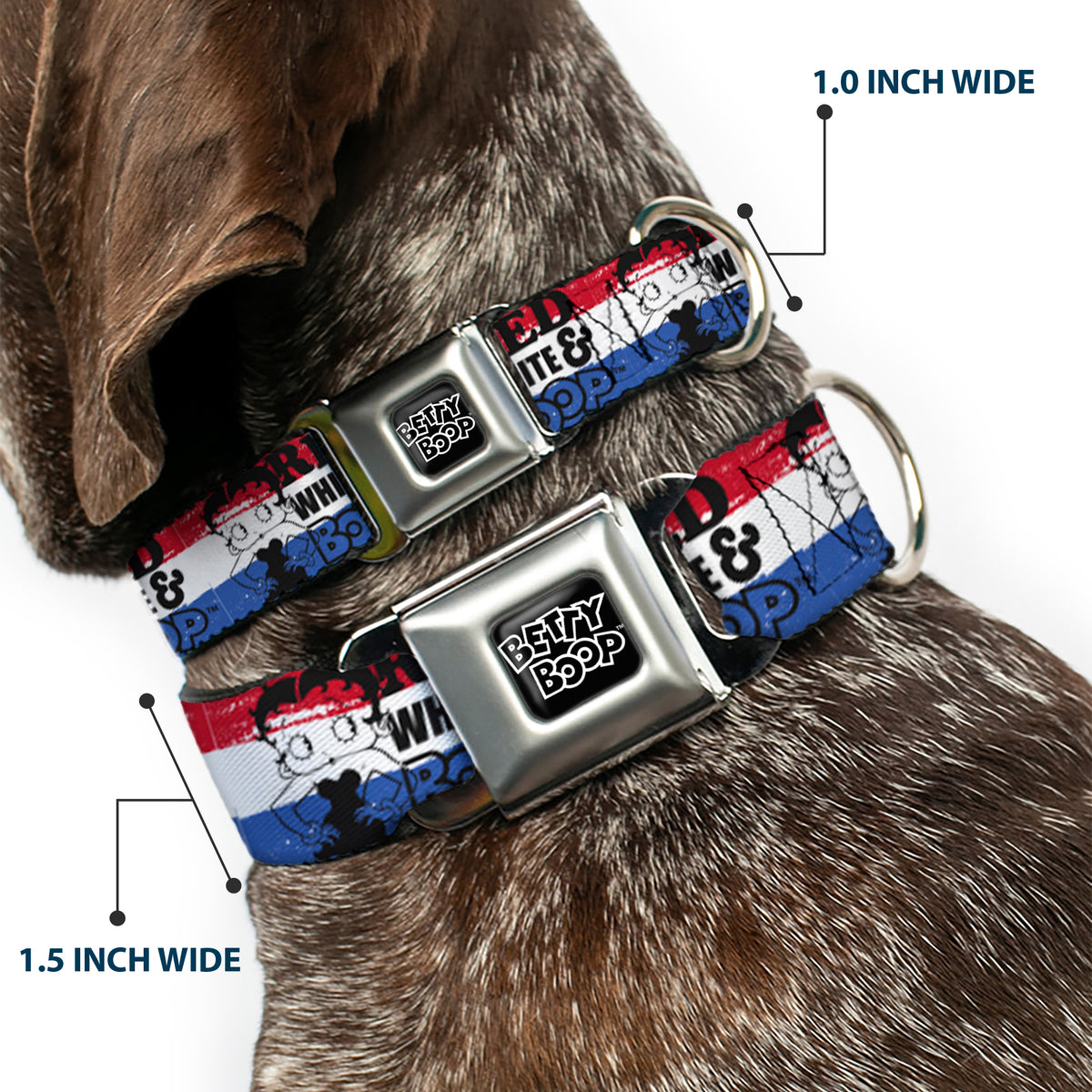 BETTY BOOP Text Heart Logo Full Color Black/White Seatbelt Buckle Collar - Betty Boop RED WHITE & BOOP Pose Americana Stripe Red/White/Blue/Black Dog Collars Seatbelt Buckle Betty Boop