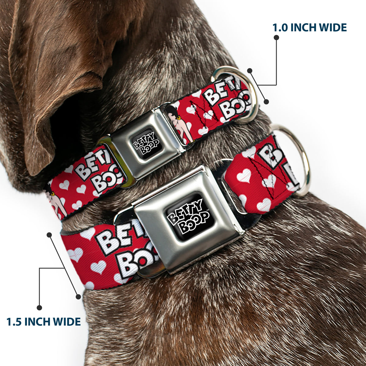 BETTY BOOP Text Heart Logo Full Color Black/White Seatbelt Buckle Collar - BETTY BOOP Seated Leg Kick Pose and Text Hearts Red/White/Black Dog Collars Seatbelt Buckle Betty Boop