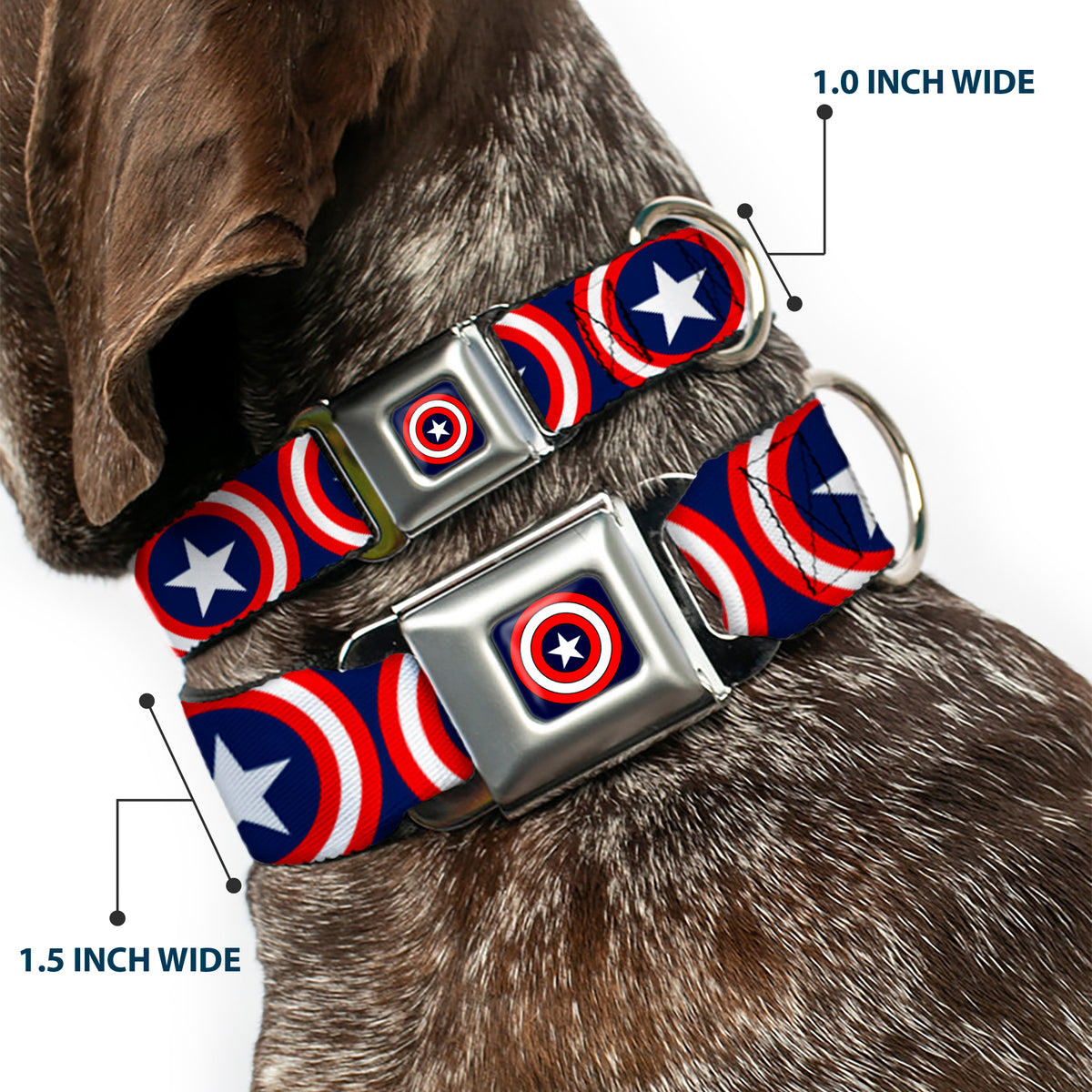 MARVEL COMICS Captain America Shield Full Color Navy Seatbelt Buckle Collar - Captain America Shield Repeat Navy Dog Collars Seatbelt Buckle Marvel Comics