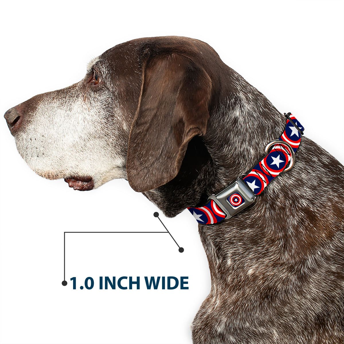 MARVEL COMICS Captain America Shield Full Color Navy Seatbelt Buckle Collar - Captain America Shield Repeat Navy Dog Collars Seatbelt Buckle Marvel Comics