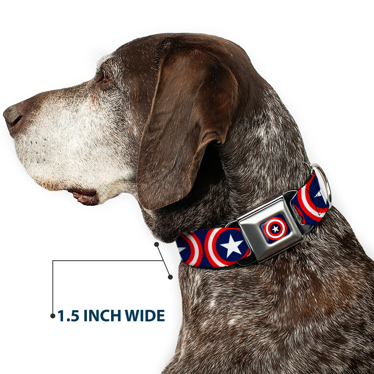 MARVEL COMICS Captain America Shield Full Color Navy Seatbelt Buckle Collar - Captain America Shield Repeat Navy Dog Collars Seatbelt Buckle Marvel Comics