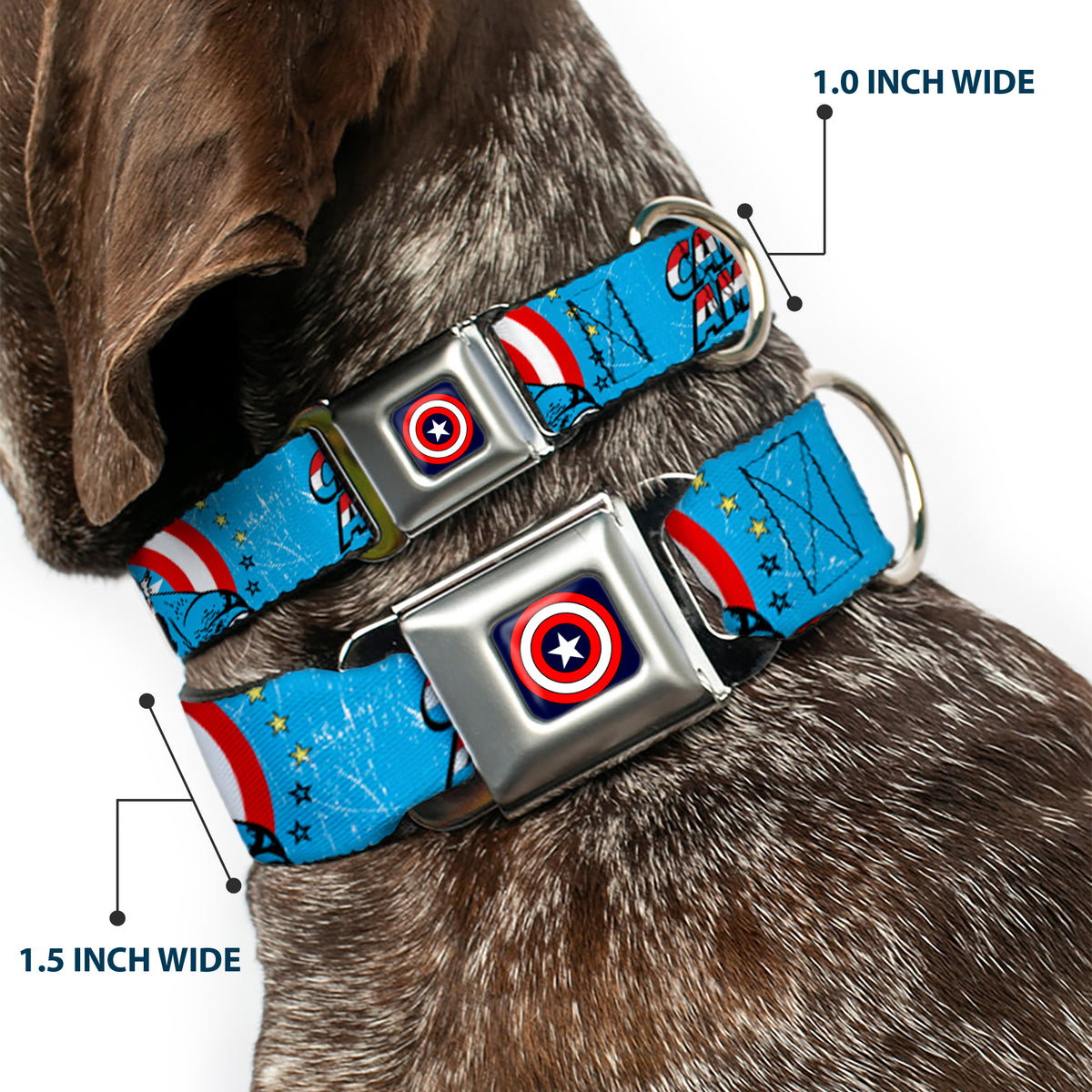 MARVEL COMICS Captain America Shield Full Color Navy Seatbelt Buckle Collar - CAPTAIN AMERICA w/Action Pose Weathered Blue Dog Collars Seatbelt Buckle Marvel Comics