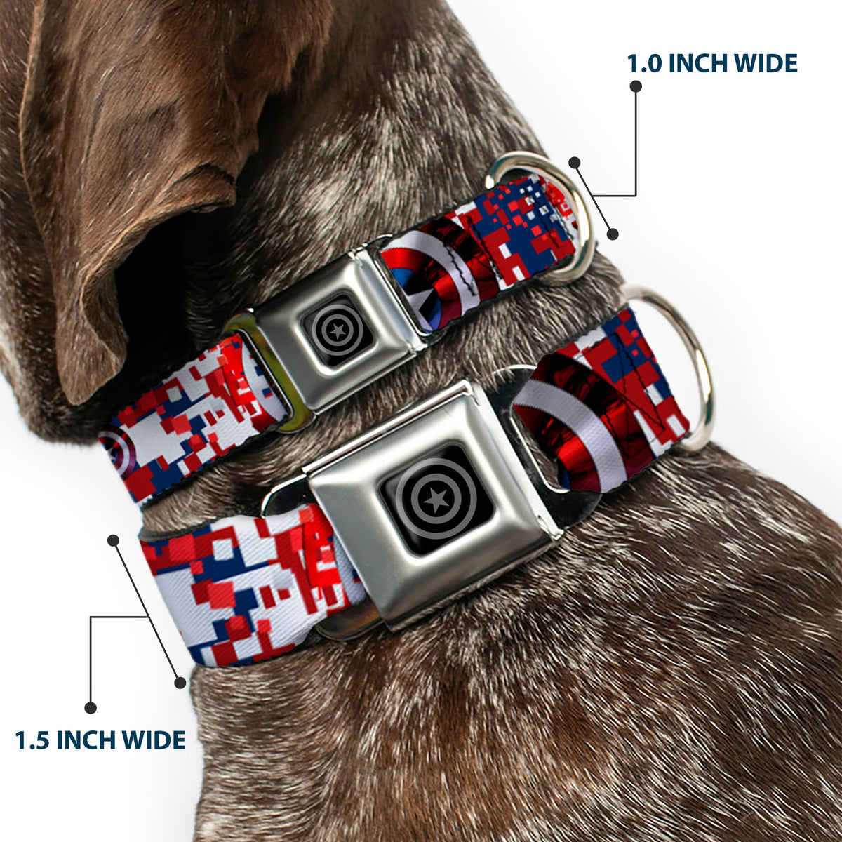 MARVEL AVENGERS Captain America Shield Black Silver Seatbelt Buckle Collar - Captain America Shield Digital Camo Blue/White/Red Dog Collars Seatbelt Buckle Marvel Comics