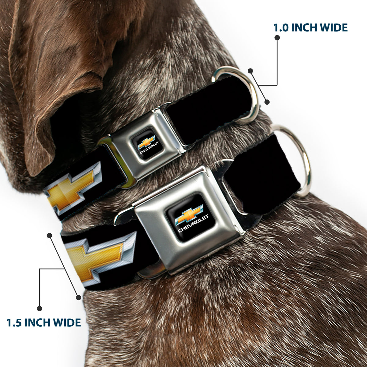 Chevy Bowtie Full Color Black Gold Seatbelt Buckle Collar - Chevy Bowtie Black/Gold Logo REPEAT Dog Collars Seatbelt Buckle GM General Motors