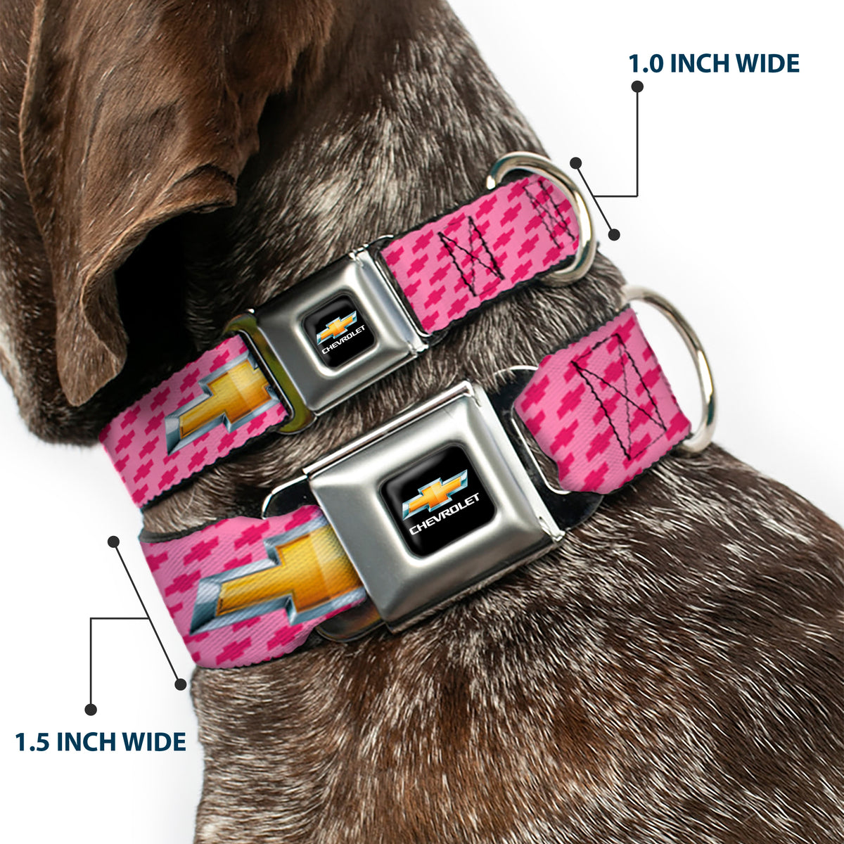 Chevy Bowtie Full Color Black Gold Seatbelt Buckle Collar - Chevy Gold Bowtie w/Logo PINK Dog Collars Seatbelt Buckle GM General Motors