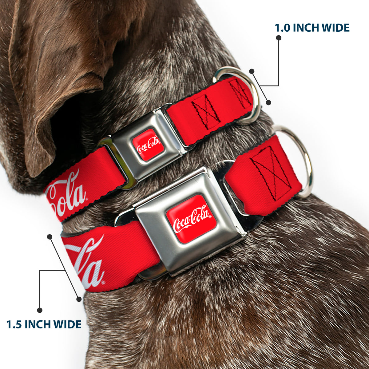 COCA-COLA Script Logo Full Color Red/White Seatbelt Buckle Collar - COCA-COLA Script Logo Red/White Dog Collars Seatbelt Buckle Coca-Cola