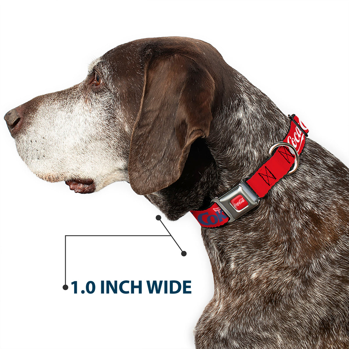 COCA-COLA Script Logo Full Color Red/White Seatbelt Buckle Collar - COCA-COLA ENJOY COKE Bottle in Hand Wings Logo Red/White/Blue Dog Collars Seatbelt Buckle Coca-Cola