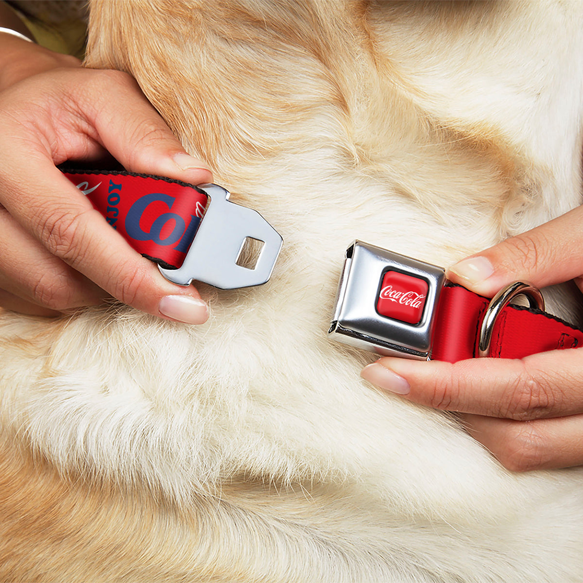 COCA-COLA Script Logo Full Color Red/White Seatbelt Buckle Collar - COCA-COLA ENJOY COKE Bottle in Hand Wings Logo Red/White/Blue Dog Collars Seatbelt Buckle Coca-Cola