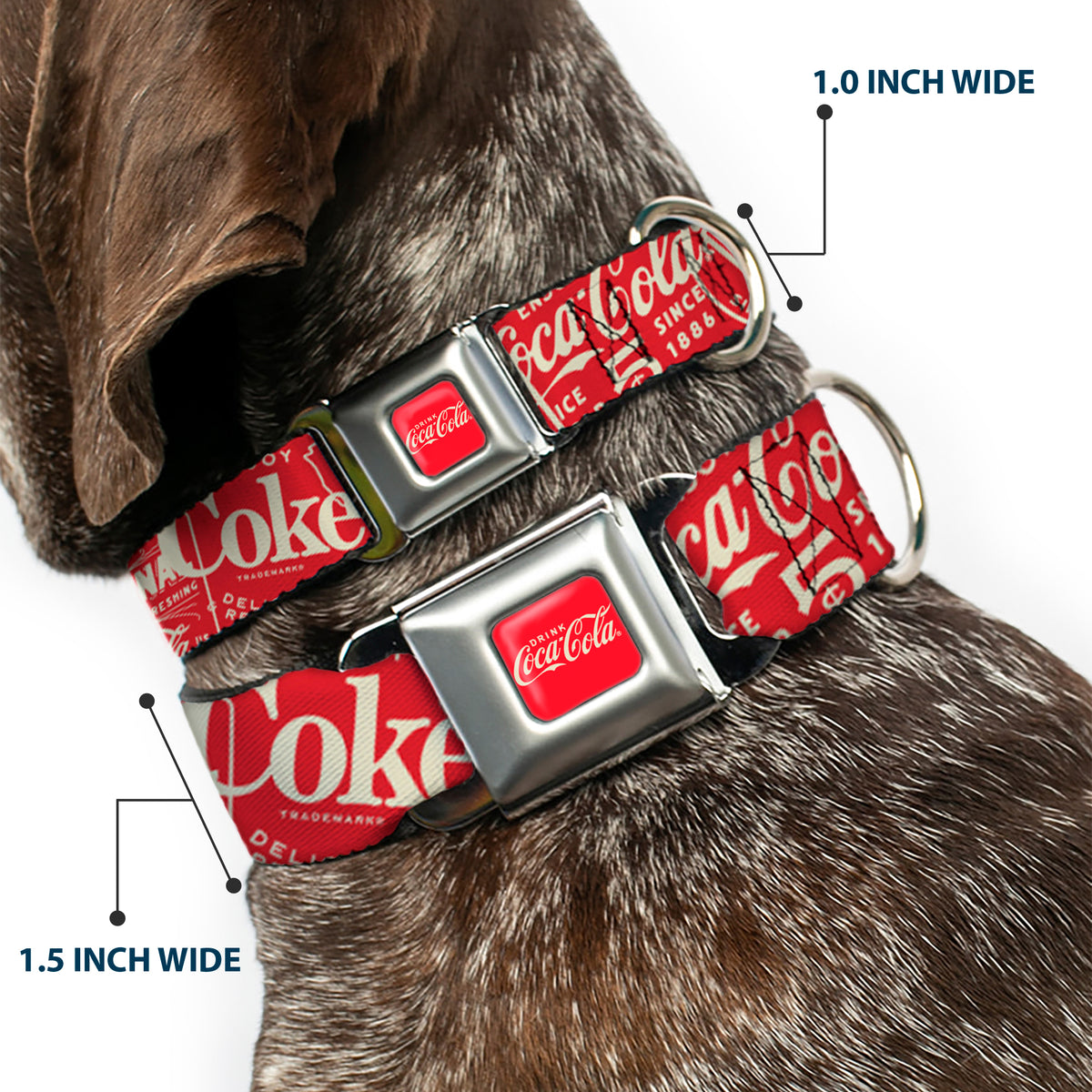 DRINK COCA-COLA Logo Full Color Red/White Seatbelt Buckle Collar - Vintage Coca-Cola Coke Icons and Ad Logos Red/White Dog Collars Seatbelt Buckle Coca-Cola