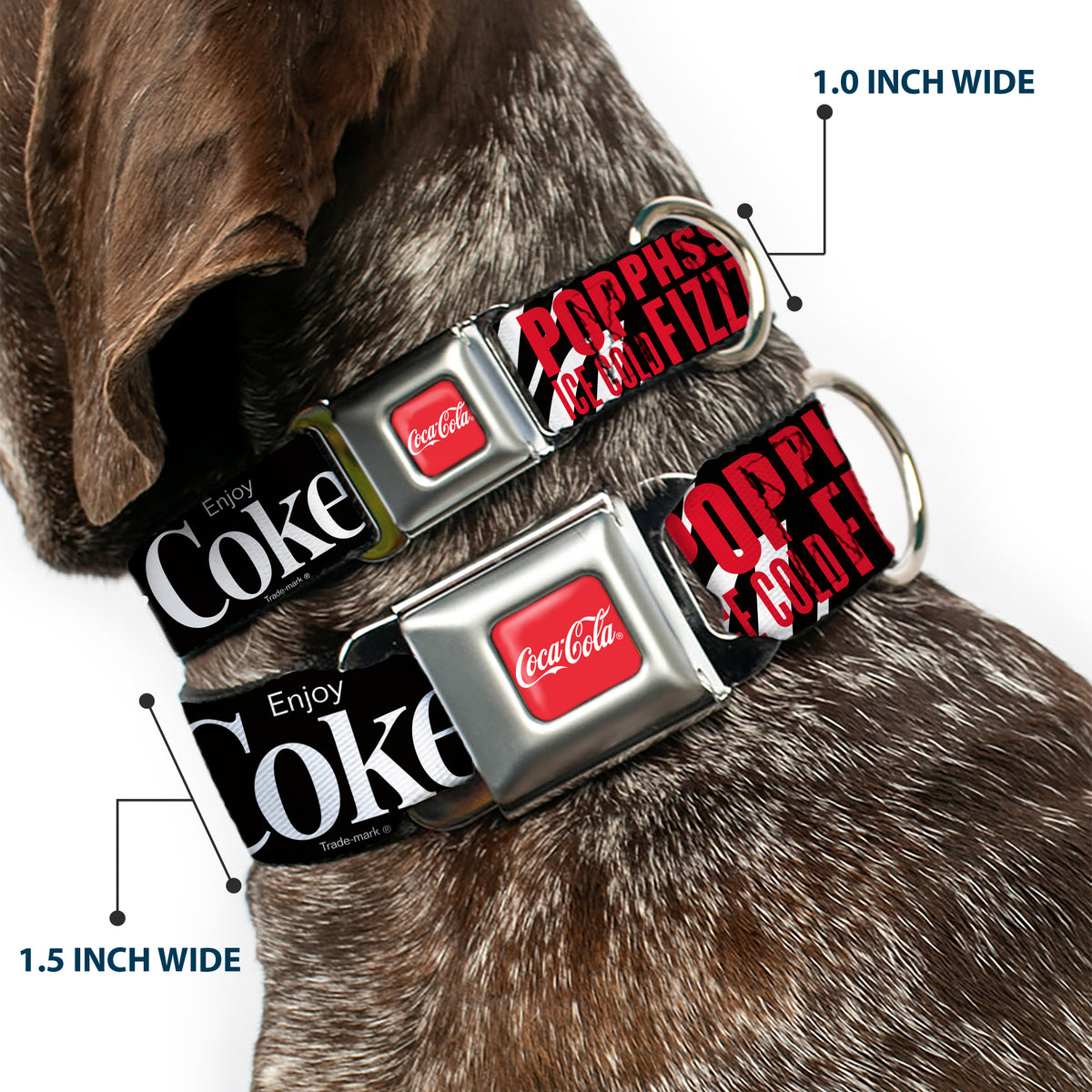 COCA-COLA Script Logo Full Color Red/White Seatbelt Buckle Collar - Coca-Cola ENJOY COKE IT'S THE REAL THING Kiss Black/White/Red Dog Collars Seatbelt Buckle Coca-Cola