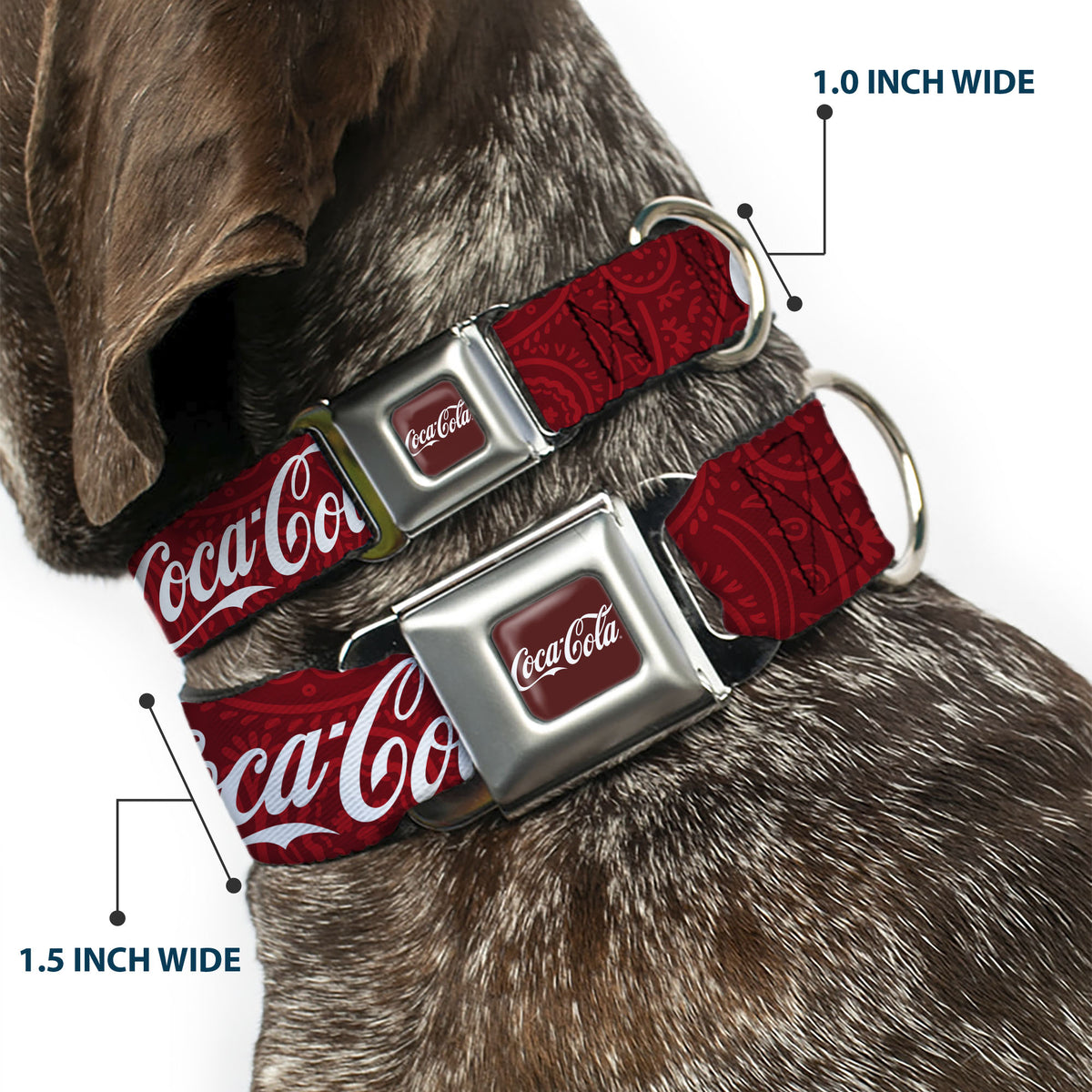 COCA-COLA Script Logo Full Color Burgundy/White Seatbelt Buckle Collar - COCA-COLA 1886 Script Logo Blues/White/Red Dog Collars Seatbelt Buckle Coca-Cola