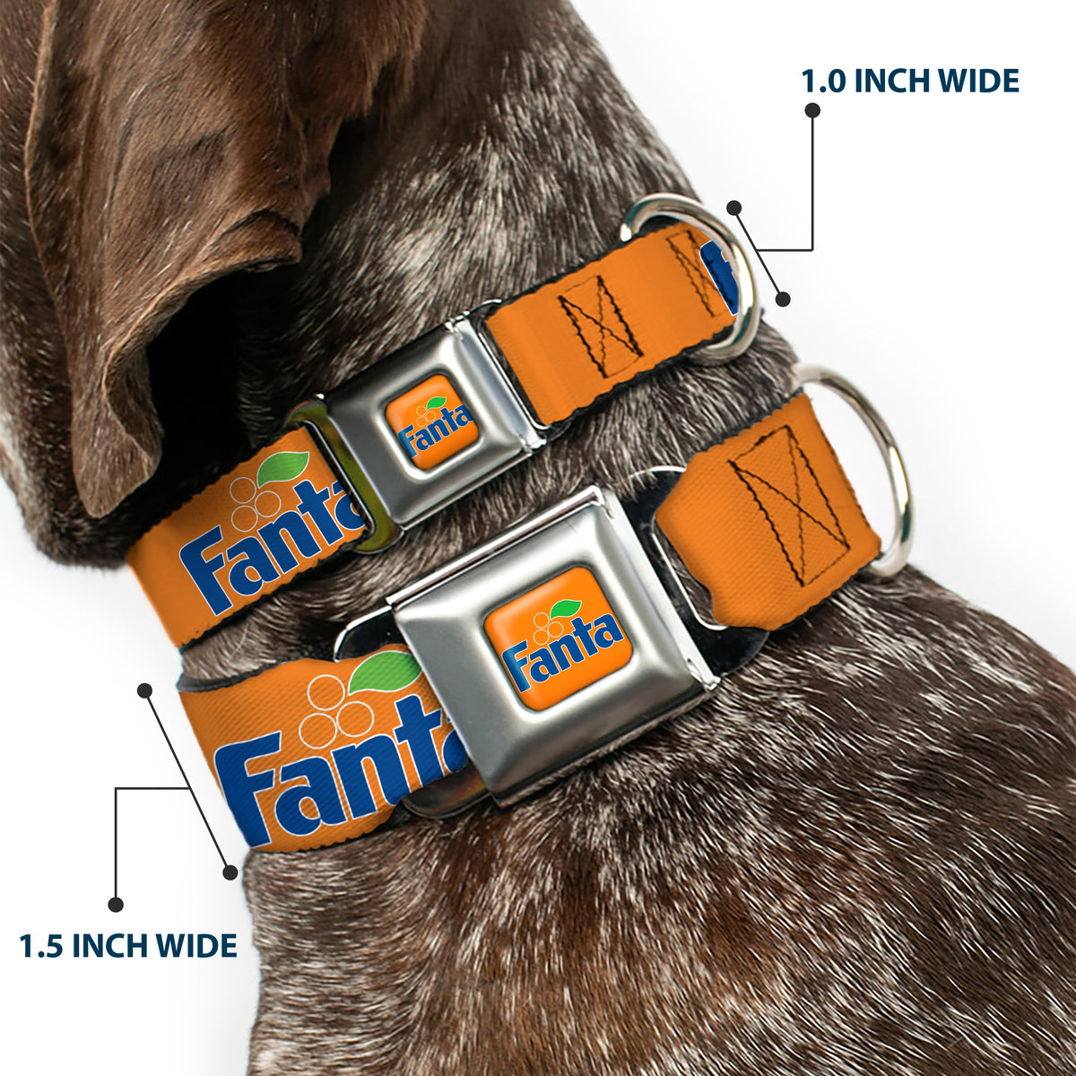 Vintage Orange FANTA Logo Full Color Orange/Blue Seatbelt Buckle Collar - Vintage Orange FANTA Logo Full Color Orange/Blue Dog Collars Seatbelt Buckle Coca-Cola
