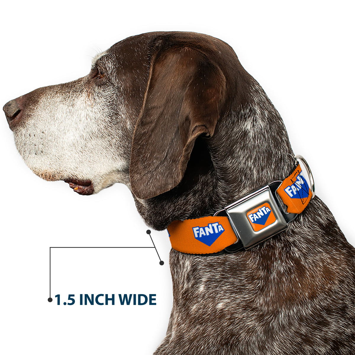 FANTA Logo Full Color Orange/Blue/White Seatbelt Buckle Collar - FANTA Logo Orange/Blue/White Dog Collars Seatbelt Buckle Coca-Cola