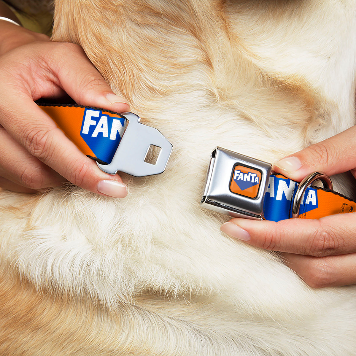 FANTA Logo Full Color Orange/Blue/White Seatbelt Buckle Collar - FANTA Logo Orange/Blue/White Dog Collars Seatbelt Buckle Coca-Cola