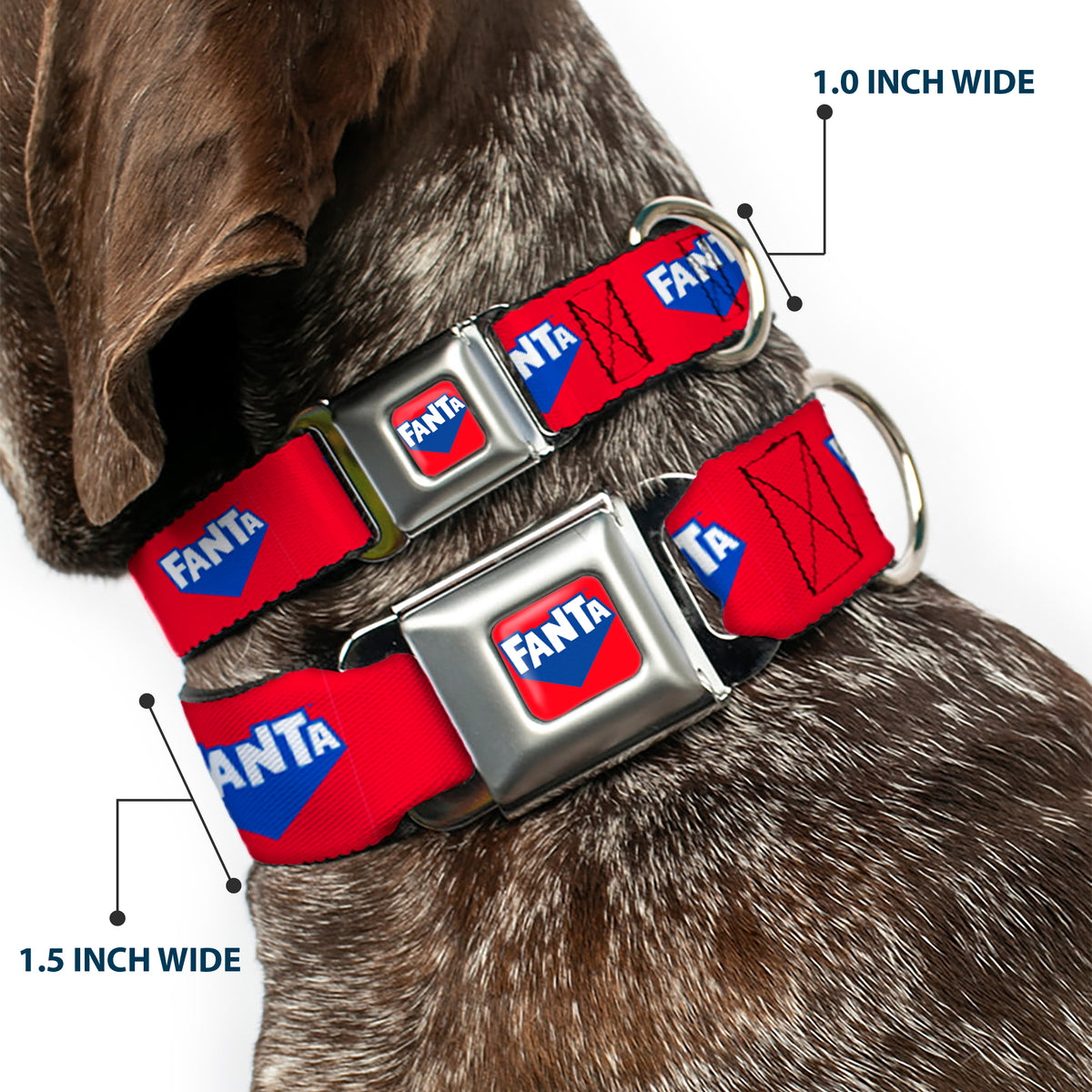 FANTA Logo Full Color Strawberry Red/Blue/White Seatbelt Buckle Collar - FANTA Logo Strawberry Red/Blue/White Dog Collars Seatbelt Buckle Coca-Cola