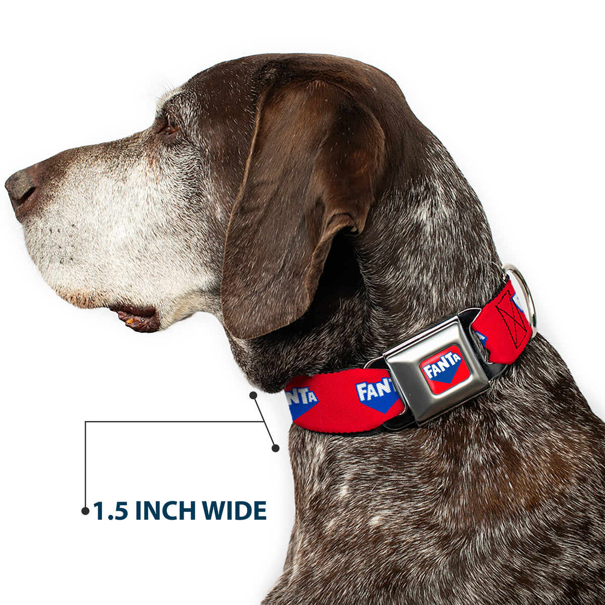 FANTA Logo Full Color Strawberry Red/Blue/White Seatbelt Buckle Collar - FANTA Logo Strawberry Red/Blue/White Dog Collars Seatbelt Buckle Coca-Cola